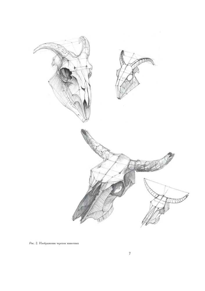 Mācību akadēmiskā zīmējuma pamati
